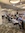 2024 Annual Convention