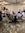 2024 Annual Convention