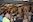 2024 Annual Convention