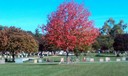 Catholic Cemeteries - Toledo