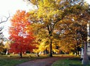 New Image, SprGIMG_20131101_084124.jpg