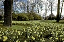 Spring Grove Cemetery - Cincinnati