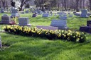 Union Township Mt. Moriah Cemetery - Cincinnati