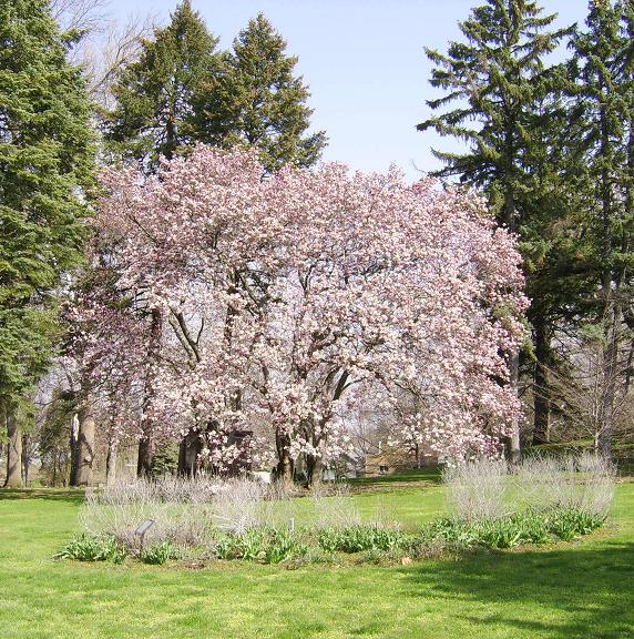 Woodland Cemetery & Arboretum - Dayton