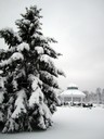 David's Cemetery - Kettering